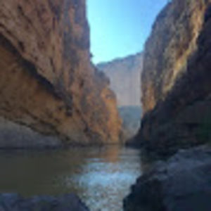 Meet your Posher, Pansy